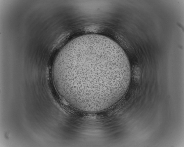 X0000097870738200804041550