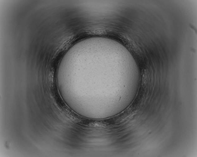 X0000097870739200804041550