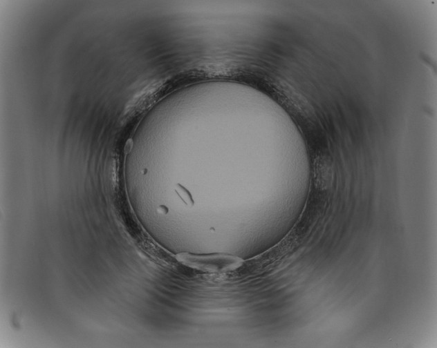 X0000097870740200804041550