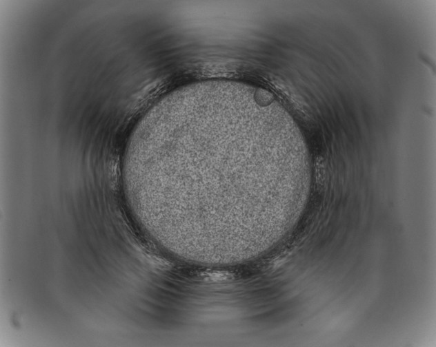 X0000097870741200804041550
