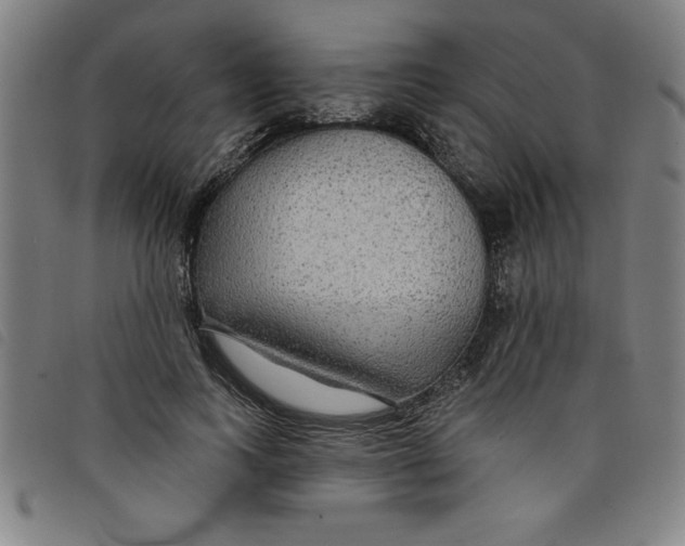 X0000097870743200804041550