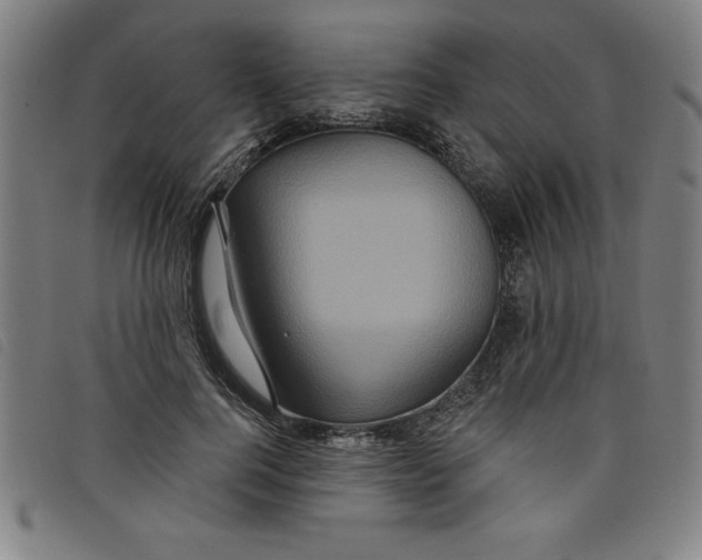 X0000097870744200804041550