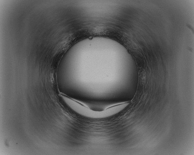 X0000097870746200804041550