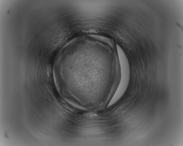 X0000097870747200804041550