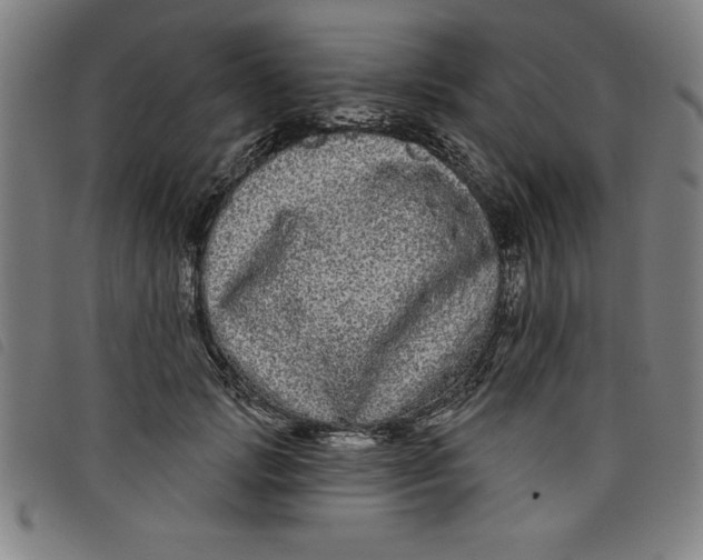 X0000097870749200804041550