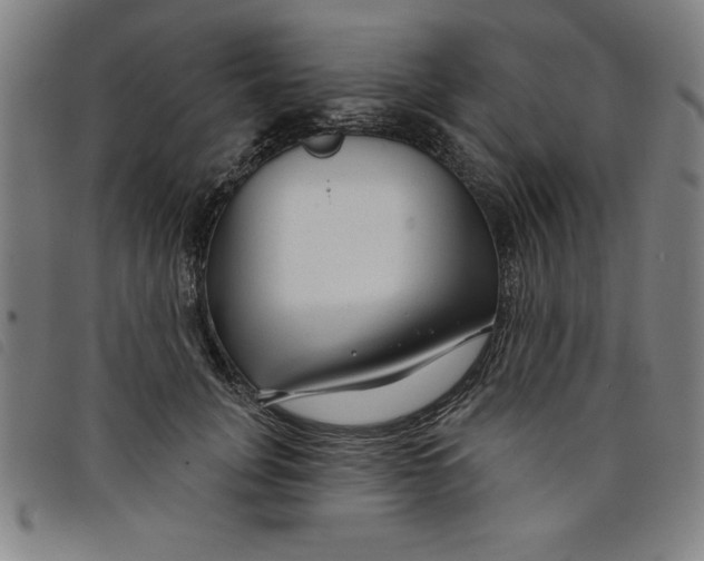 X0000097870751200804041550