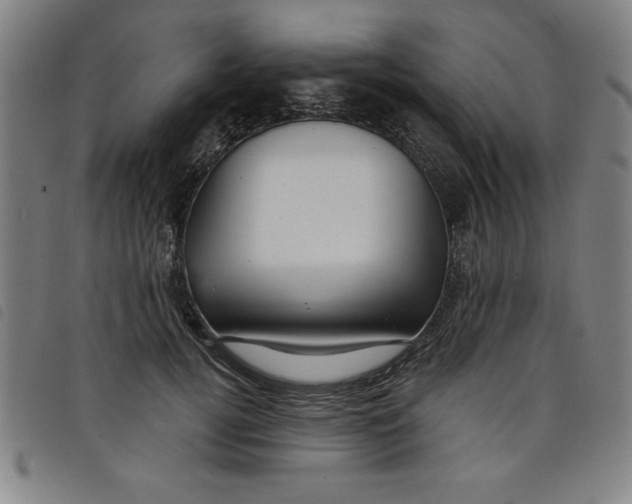 X0000097870752200804041550