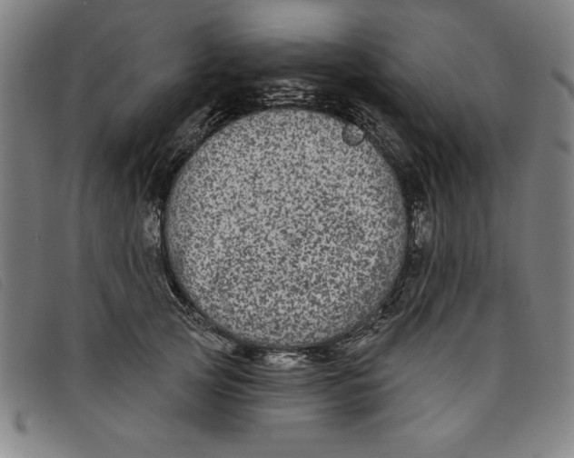 X0000097870753200804041550