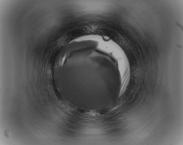 X0000097870754200804041550