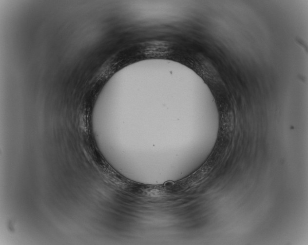 X0000097870755200804041550
