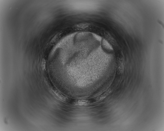 X0000097870758200804041551