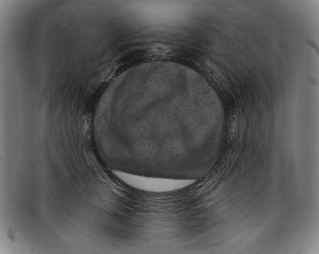 X0000097870759200804041551