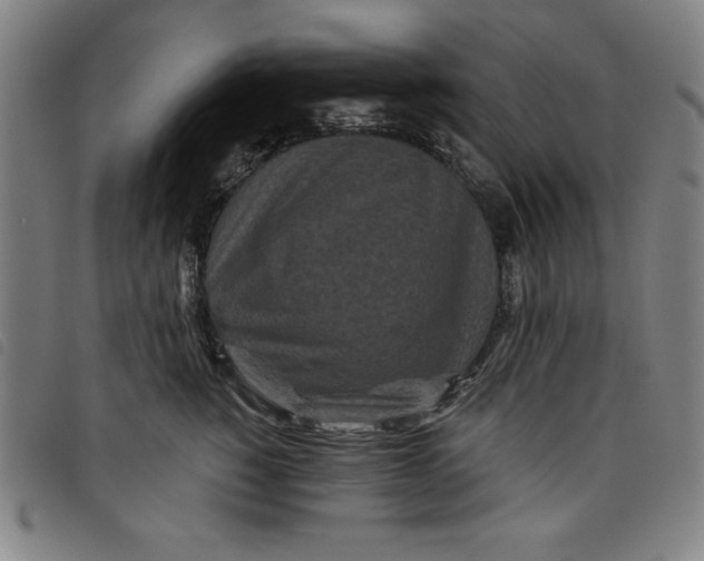 X0000097870760200804041551