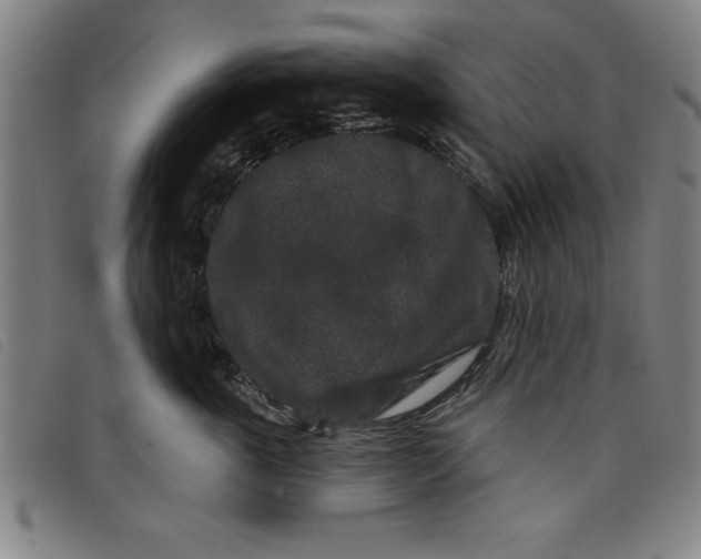 X0000097870763200804041551