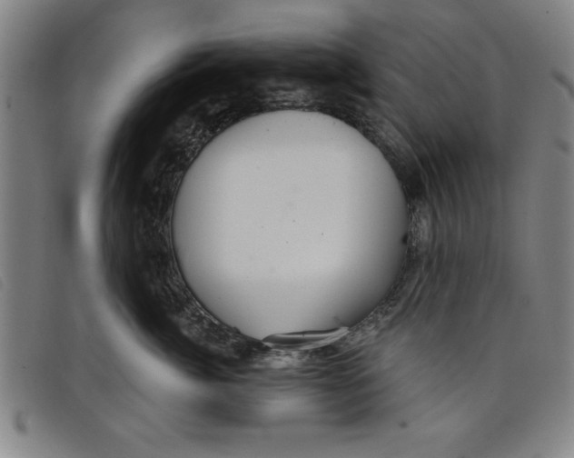 X0000097870764200804041551