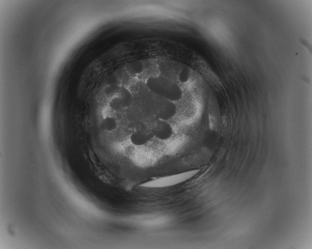 X0000097870765200804041551