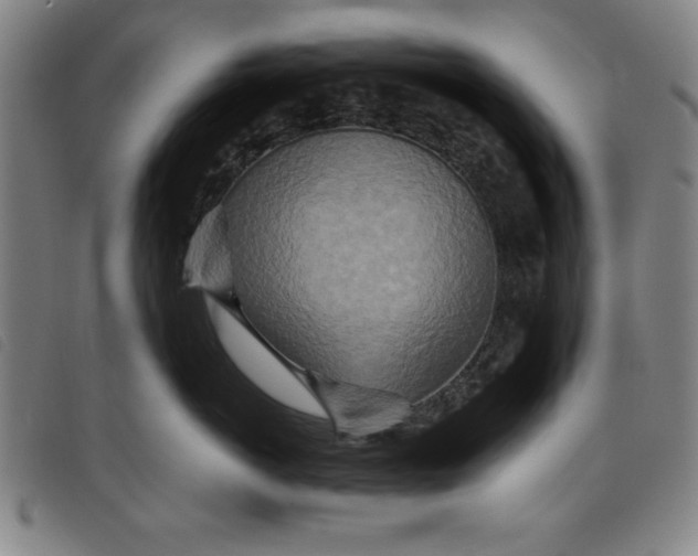 X0000097870766200804041551