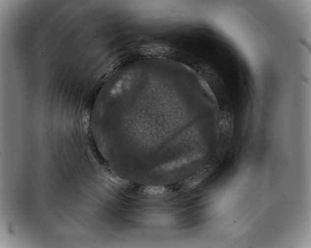 X0000097870767200804041551