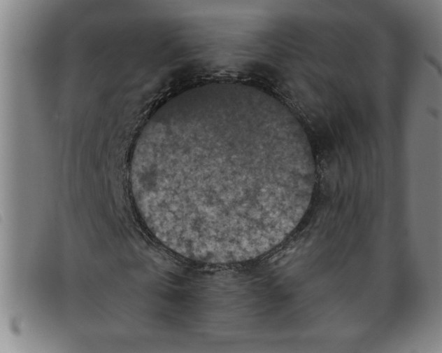 X0000097870769200804041550