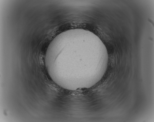 X0000097870770200804041550