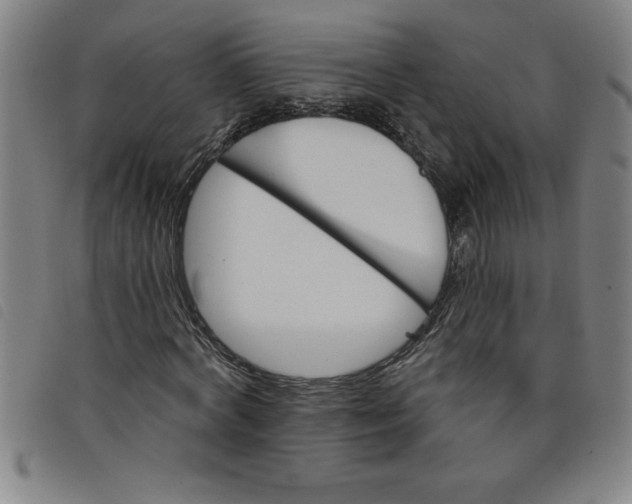 X0000097870772200804041550