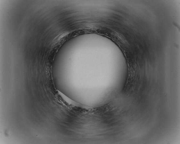 X0000097870773200804041550