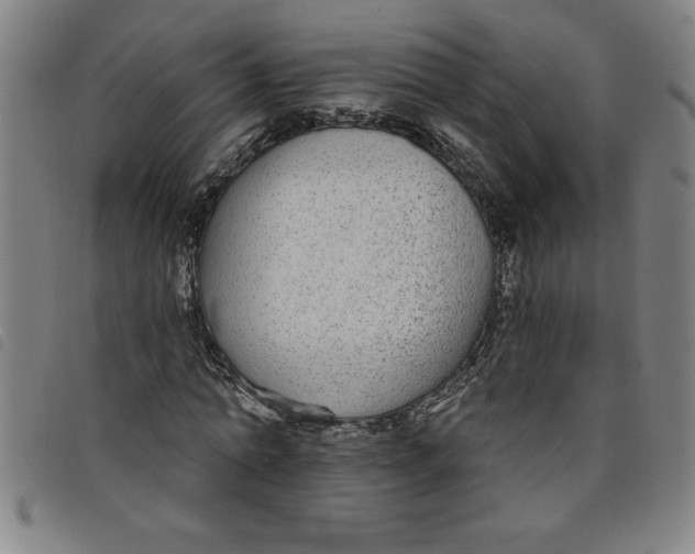 X0000097870774200804041550
