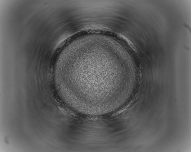 X0000097870775200804041550