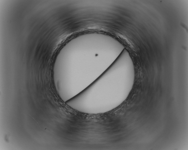X0000097870776200804041550