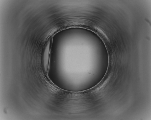 X0000097870777200804041550