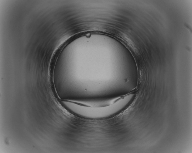X0000097870780200804041550