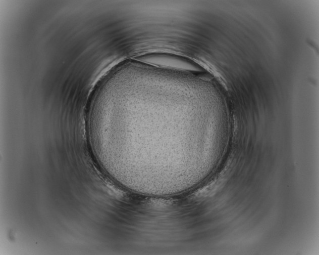 X0000097870782200804041550