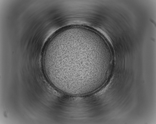 X0000097870783200804041550