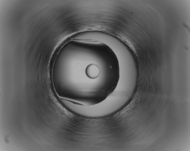 X0000097870784200804041550