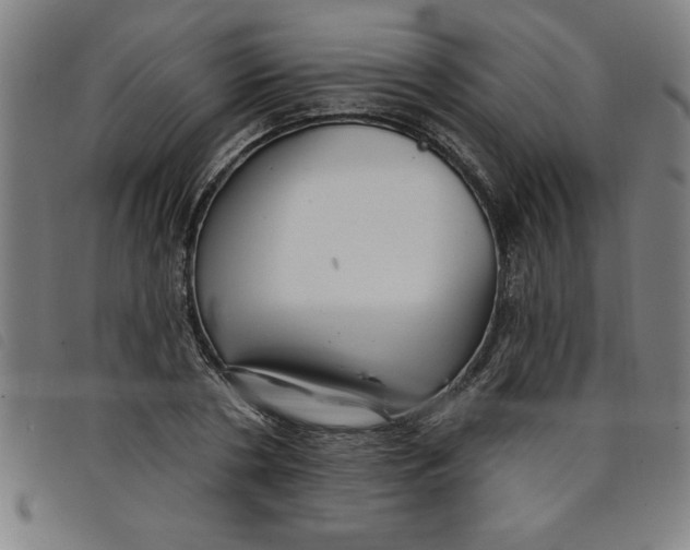 X0000097870786200804041550