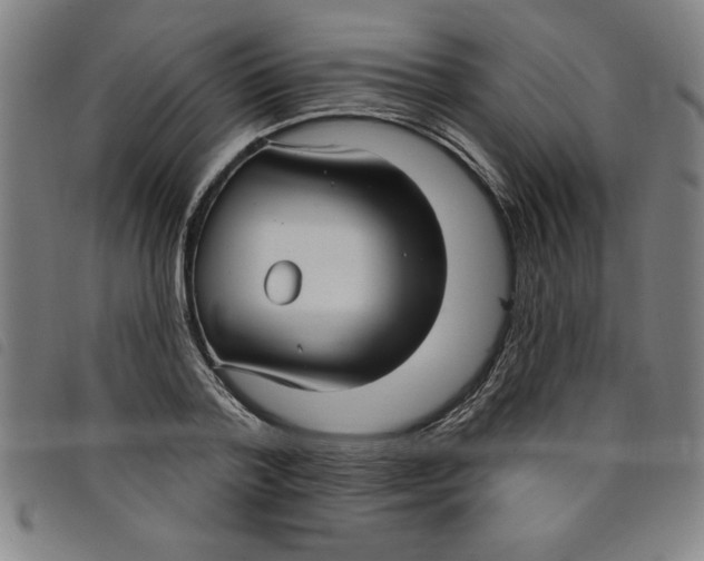 X0000097870788200804041550