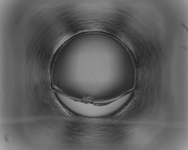 X0000097870789200804041550