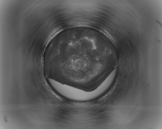 X0000097870790200804041550