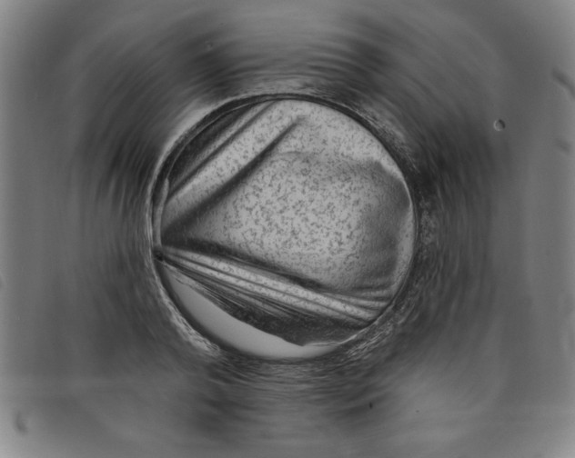 X0000097870792200804041550