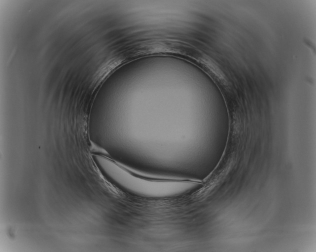 X0000097870793200804041550