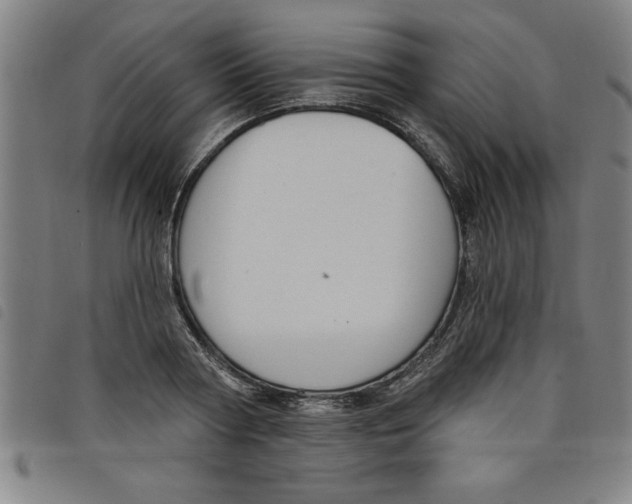 X0000097870794200804041550