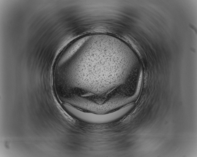 X0000097870795200804041550