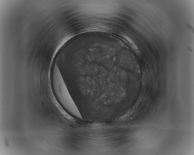 X0000097870796200804041550