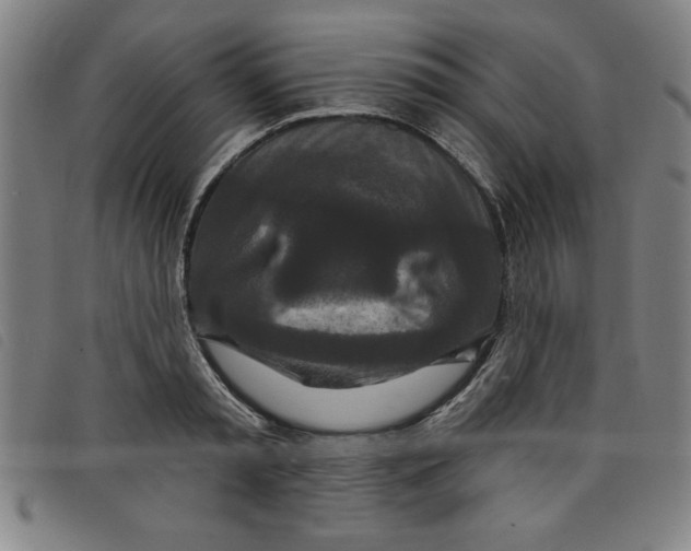 X0000097870797200804041550