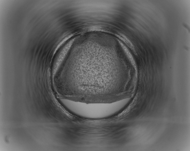 X0000097870798200804041550