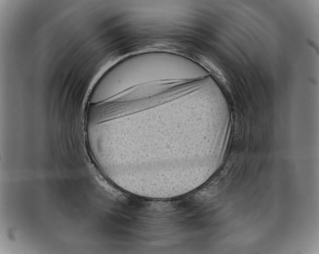 X0000097870800200804041550