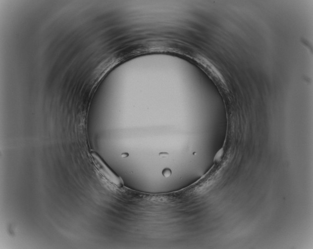 X0000097870801200804041550