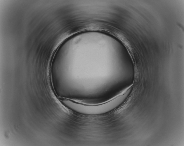 X0000097870803200804041550