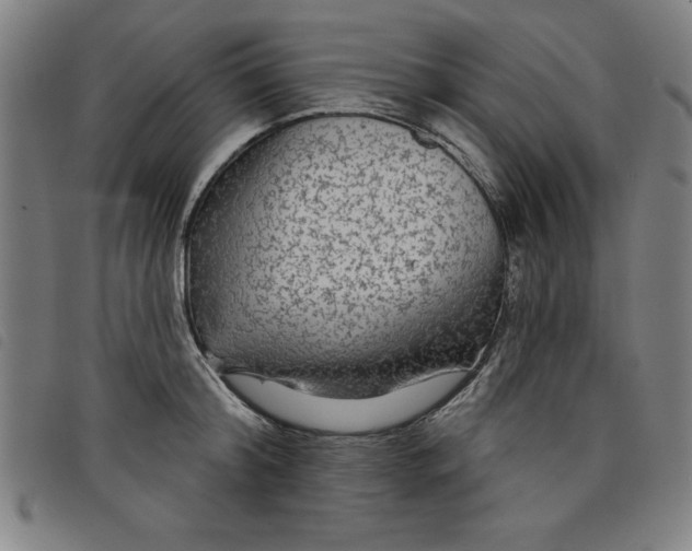X0000097870804200804041550