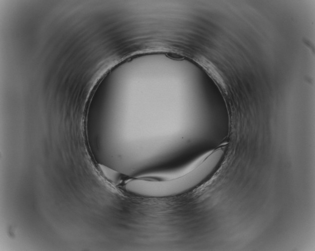 X0000097870805200804041549